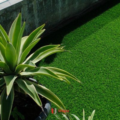 Unique Artificial Grass