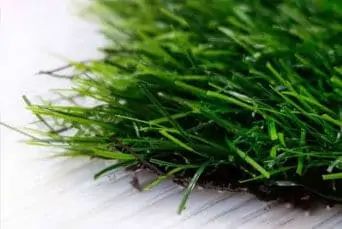 jual rumput sintetis terlengkap di denpasar bali